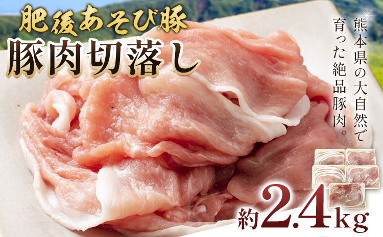 肥後あそび豚切落し 2.4kg 株式会社さつま屋産業 ぶた ブタ 豚肉 肉 ブランド豚 切り落とし 国産 九州産 熊本県産 菊池市産 冷凍 送料無料《90日以内に出荷予定(土日祝除く)》