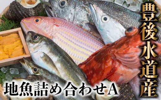 
うすき豊後水道物語　豊後水道うすき地魚詰め合わせA
