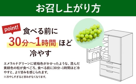 【先行予約】岡山県産 マスカット・オブ・アレキサンドリア 計 700g 株式会社 はちや《6月下旬‐7月下旬頃出荷》岡山 国産 フルーツ 果物 岡山県 浅口市 フルーツ 果物 マスカット オブ アレキ