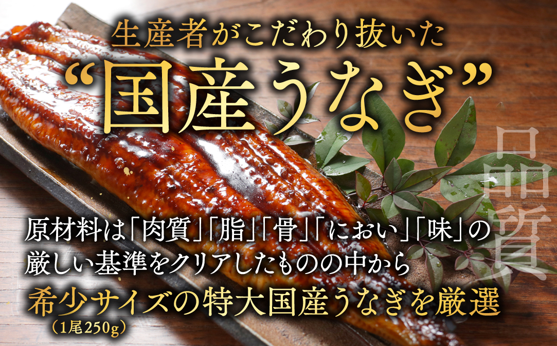 国産 希少 極大 特上うなぎ(250g×4尾)【OT000OE40】