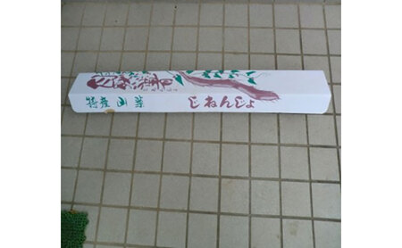自然薯 贈答用自然薯 じねんじょ養強壮 化粧箱 神奈川県 平塚市