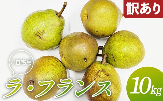 
                  【訳あり】ご自宅用 山形県産ラ・フランス 10kg FSY-2896
                