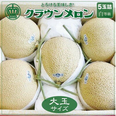 【ふるさと納税】【通年出荷】クラウンメロン(白等級)大玉　5玉詰【配送不可地域：離島・北海道・沖縄県】【1104740】