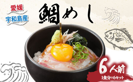 鯛めし 6食 セット 薬味 付き 有限会社 アクアプラス 生鯛めし 真鯛 鯛 マダイ タイ tai 刺身 お刺身 刺し身 丼 丼ぶり 海鮮丼 郷土料理 鯛飯 海鮮 人気 海の幸 魚介 水産 人気加工品 冷蔵 小分け パック お手軽 便利 簡単 調理 乗せるだけ ごま のり 産地直送 国産 愛媛 宇和島 D020-090004