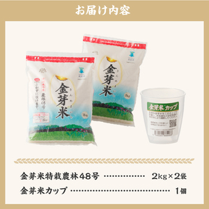 金芽米特別栽培米農林48号 4kg(2kg×2) 米 令和7年度米 無洗米 BG無洗米 小分け お米 ごはん 国産 ブランド米 健康食品 専用計量カップ付き 山梨県 北杜市産  [h151]