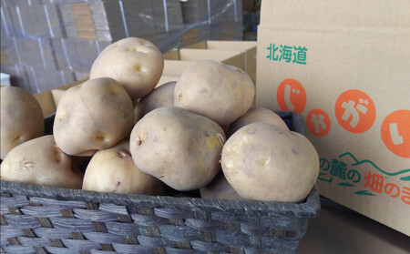 【北海道上富良野町産】しんや農園のじゃがいも「とうや5kg & 男爵5kg」 計10kg