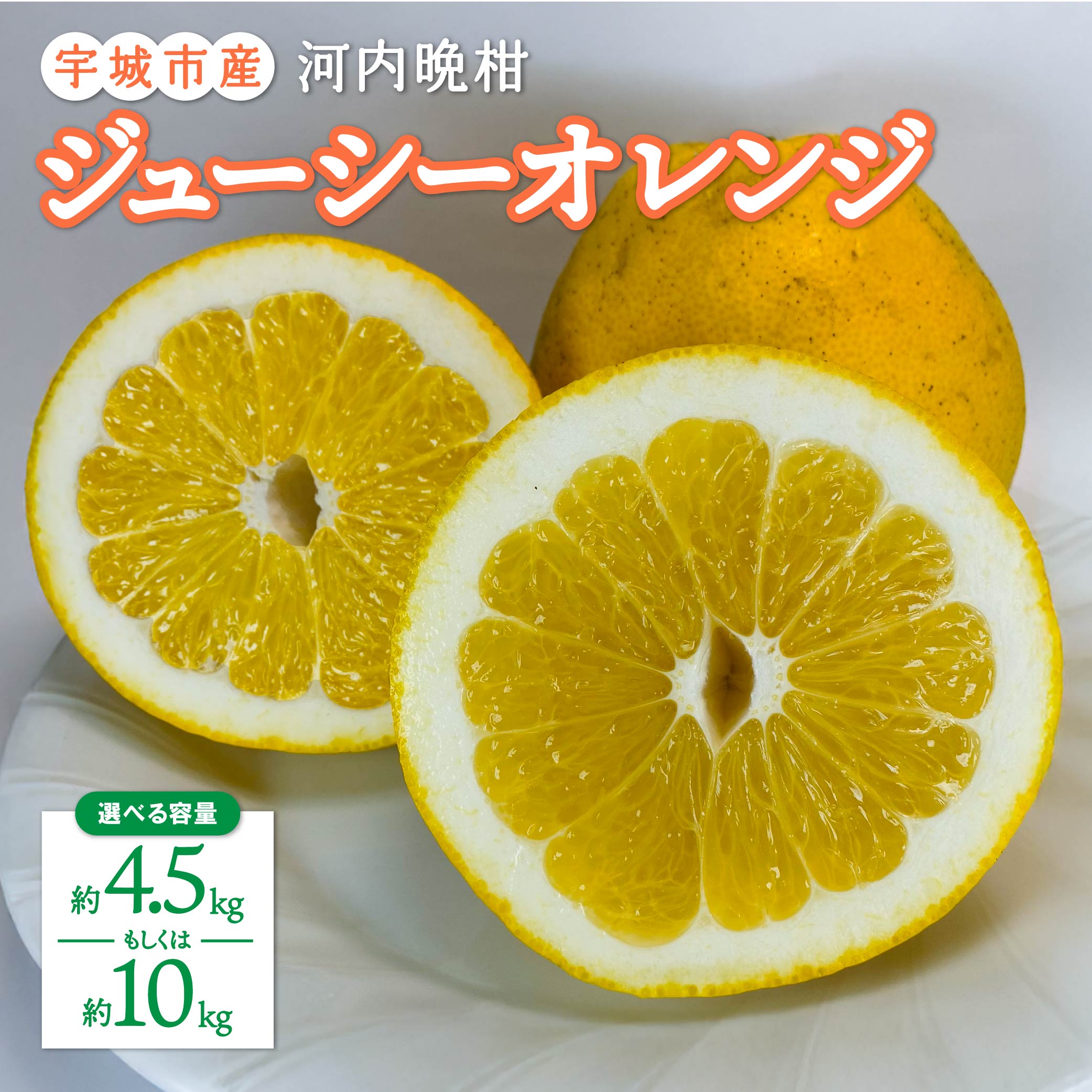 【ふるさと納税】 先行予約 みかん 河内晩柑 ジューシーオレンジ 【選べる内容量】 約4.5kg もしくは 約10kg 高橋果樹園 サイズ不揃い ばんかん 晩柑 柑橘 国産 九州産 熊本県産 送料無料 【2026年6月下旬までに発送予定】