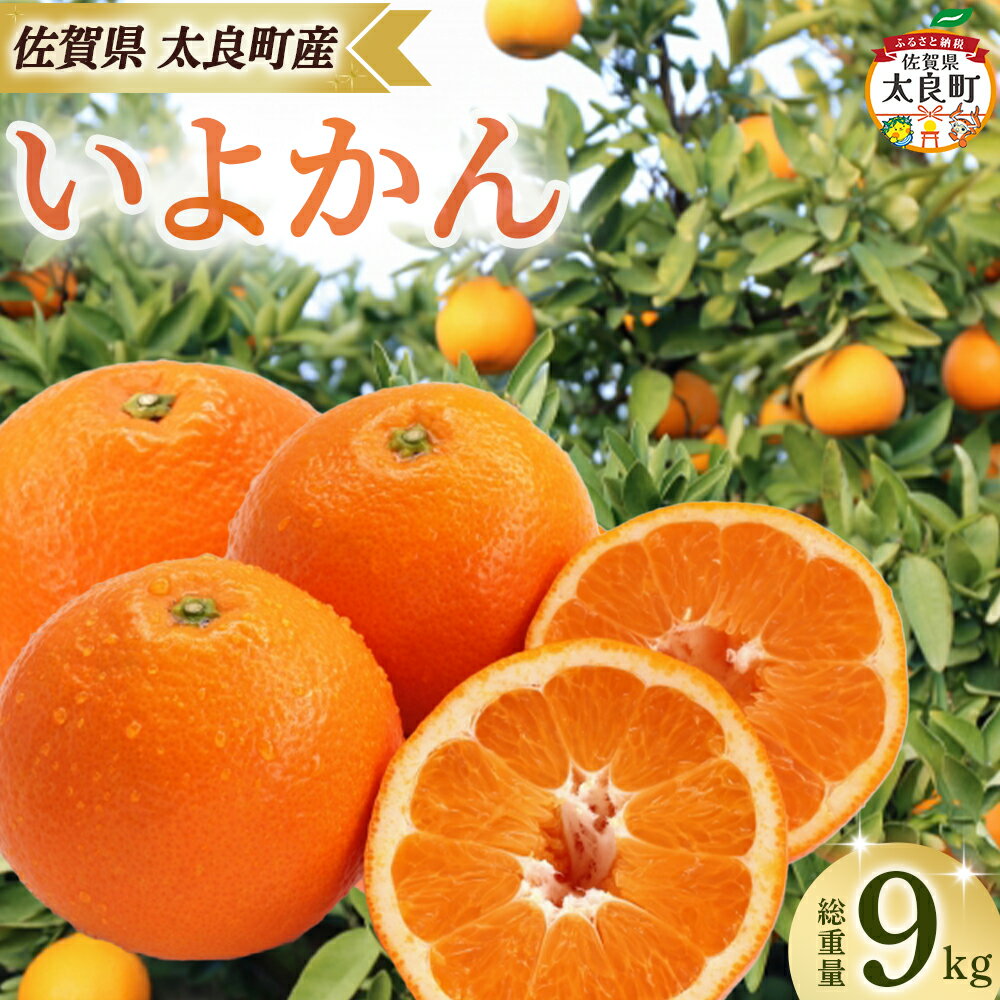 【ふるさと納税】田島柑橘園&加工所のいよかん9kg　みかん 柑橘 蜜柑 いよかん 伊予柑 完熟 果物 くだもの 果実 かんきつ フルーツ ジューシー 果肉 ビタミン 佐賀県 太良町 OA17