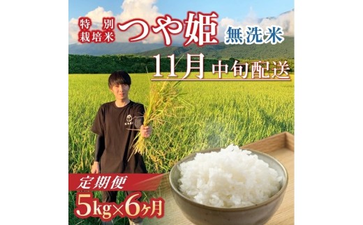 11月中旬発送開始／【6回定期便】令和8年産 ［無洗米］つや姫　5kg×6回(計30kg) 農家直送 HO SH0071