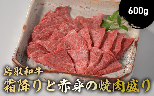 鳥取和牛 霜降りと赤身の焼肉盛り 600g 国産 牛肉 焼肉 赤身 霜降り ロース モモ バラ バーベキュー 和牛 黒毛和牛 ブランド牛 鳥取県 倉吉市 KR164