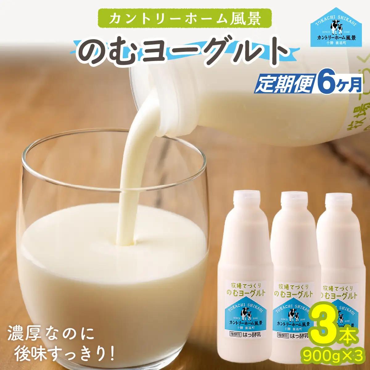 【定期6ヶ月】のむヨーグルト 900g ×3 SKB037