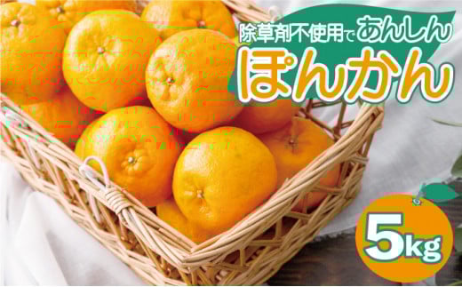 【先行予約】ポンカン＜5kg＞ 国産 東洋町産 甘酸っぱい 甘い 果汁 ジューシー 高知県 東洋町 四国 お取り寄せ フルーツ 蜜柑 ミカン 果物 送料無料　Teshi04