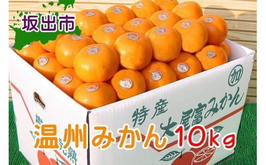 
温州みかん 香川産 約10kg ( S ～ Lサイズ ) ｜ みかん 味濃い
