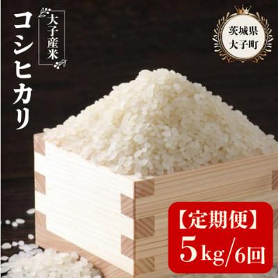 ふるさと納税 大子町 【毎月定期便】大子産米 コシヒカリ (精米) 5kg×6回お届け 茨城県 大子町全6回