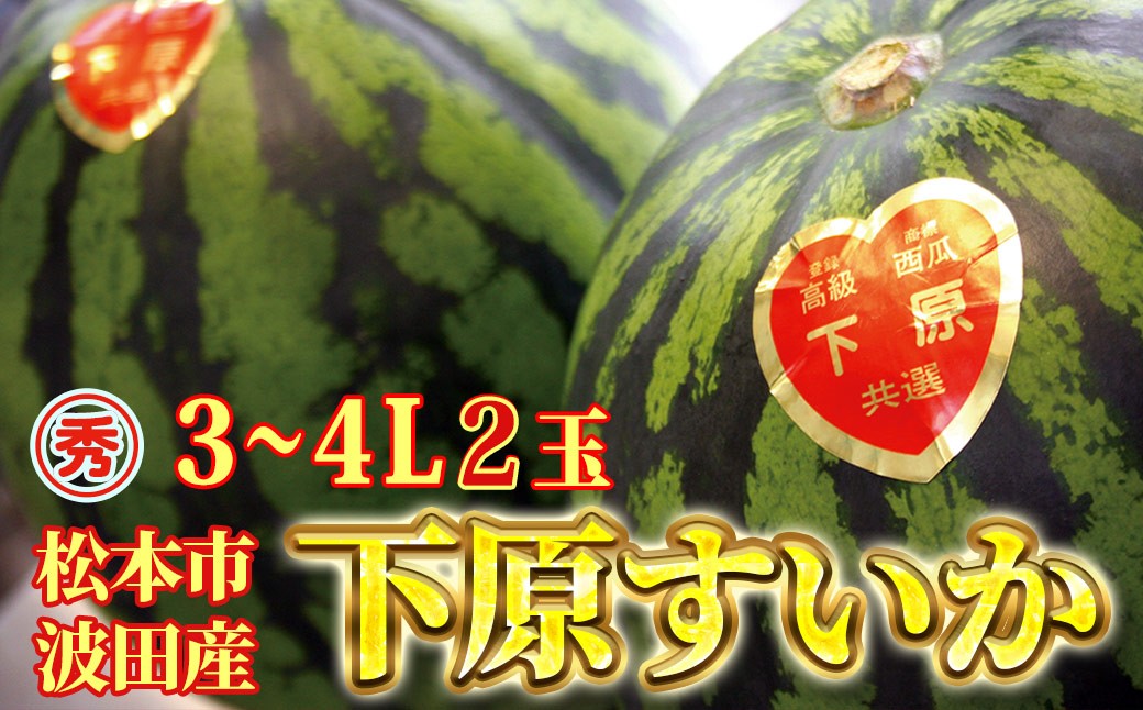 
                  スイカ 下原すいか 信州 松本波田産 3～4L ( 8kg ～ 11kg ) × 2玉 | フルーツ 夏 スイカ 西瓜 大玉スイカ シャキ感 甘い ふるーつ 果物 野菜 長野県 松本市 信州産 人気
                