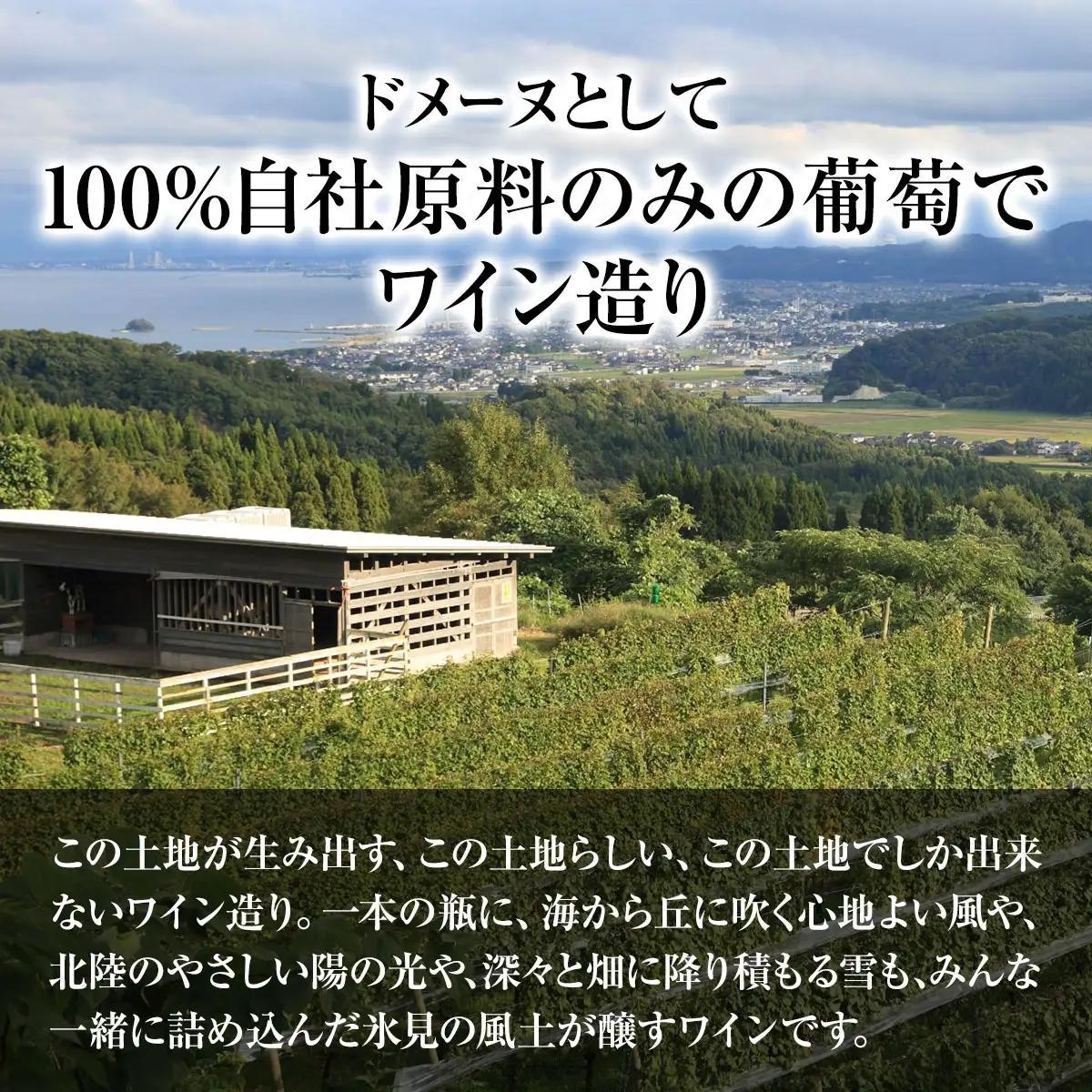SAYSFARM ROSE2024 ワイン ロゼ | ロゼワイン 国産 葡萄酒 地ワイン 富山県 氷見市