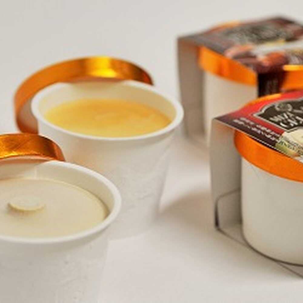 【ふるさと納税】みずなみジェラート 2種 計8個 和紅茶 × はちみつ 瑞浪市 / きなぁた瑞浪 アイスクリーム ギフト[AZCI002]