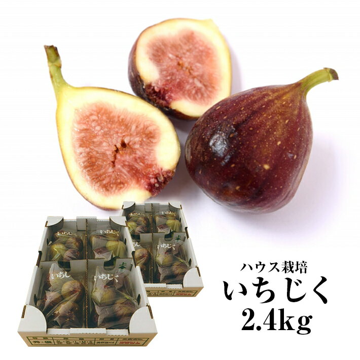 【ふるさと納税】ハウス栽培いちじく 約2.4kg（300g×4パック入り2箱）8月中旬～9月下旬頃お届け 冷蔵便 ※着日指定・離島発送不可 イチジク 無花果 果物 フルーツ ハウス 東北 山形県 酒田市 庄内