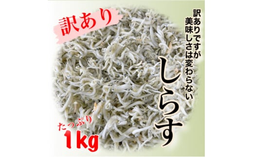 訳あり 釜揚げしらす 1kg 冷凍 愛知県 南知多町 釜揚げ しらす 魚 さかな ご飯 ごはん 日間賀島 おすすめ