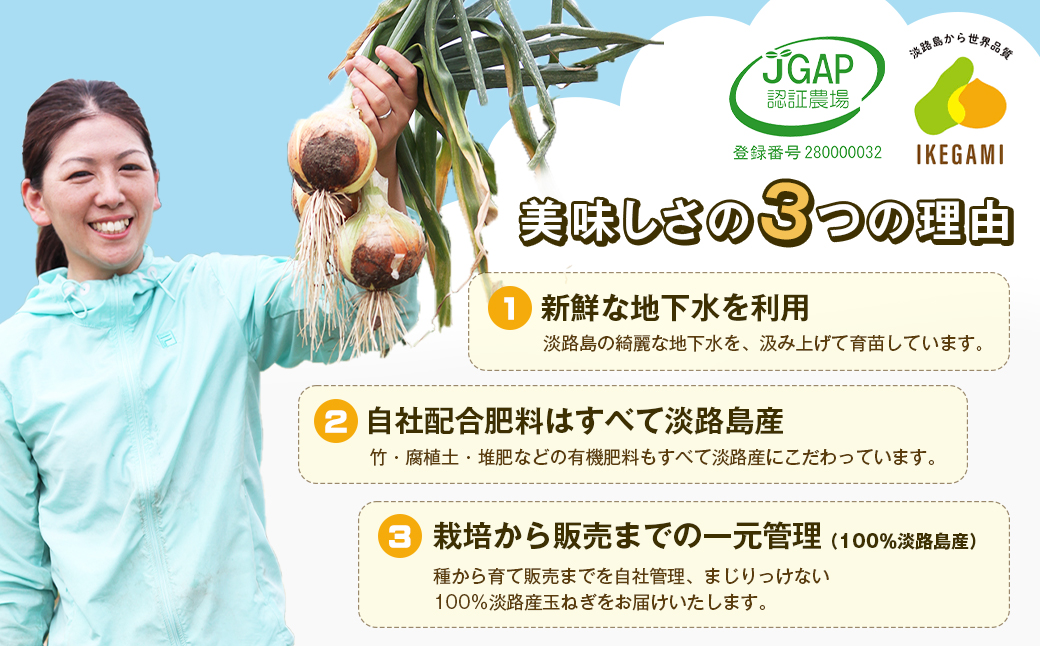 淡路島　池上農場の完熟たまねぎ「あやたけ」10kg　玉ねぎ たまねぎ 淡路島 玉ねぎ