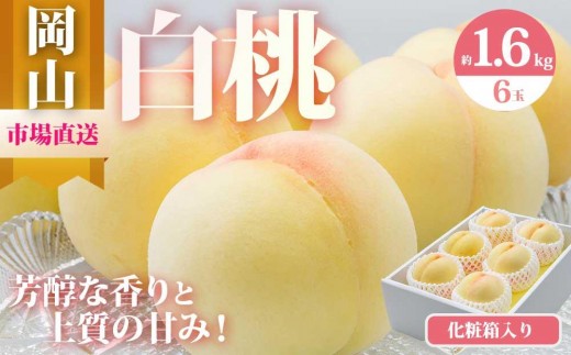 桃 2027年 岡山 白桃 6玉（合計1.6kg以上）化粧箱入り もも モモ 岡山県産 国産 フルーツ 果物 ギフト