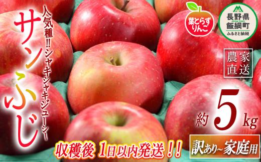 【 フレッシュ便 / 採れたて発送 】 りんご 葉とらず サンふじ 訳あり 5kg フレッシュフルーツミカズキ 沖縄県への配送不可 2025年11月中旬頃から2025年11月下旬頃まで順次発送予定 令和7年度収穫分 傷 不揃い リンゴ 林檎 果物 フルーツ 信州 長野 18500円 予約 農家直送 長野県 飯綱町 [1674]