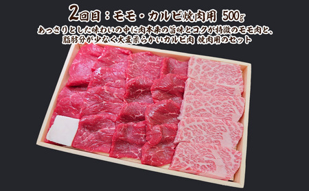 【定期便3回】山形牛定期便A[冷蔵便] FY25-913