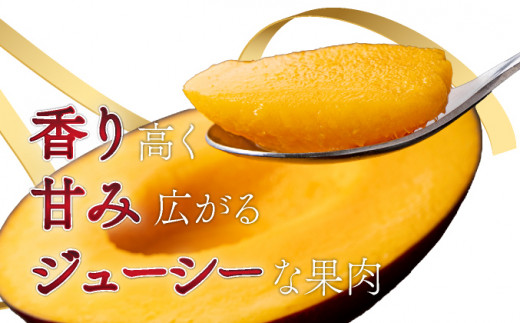 【やました農園】＜先行予約＞糖度15度以上の宮崎完熟マンゴー(5L×1玉入・贈答用) ＜ギフト用＞ 2箱 AE-C2-2