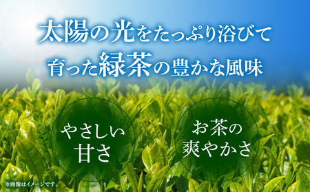 きよたけ銘茶 星野原 緑茶ジェラート アイス ジェラート 緑茶