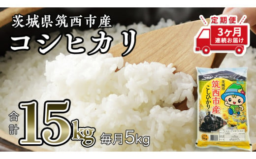 
【 定期便 3ヶ月】 茨城県筑西市産 コシヒカリ5kg 三ツ星 マイスター 米 コメ こしひかり 定期便3回 15kg 茨城県 単一米 精米 新生活 応援 [CH005ci]
