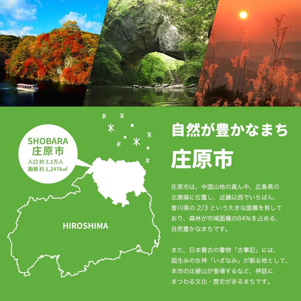 返礼品なしの寄附（寄付金額 1,000円）広島県庄原市の未来の為の応援寄附