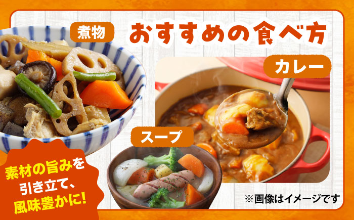 【先行予約】【2025年12月順次発送開始】秋にんじん10kg / ニンジン 野菜 β-カロテン 食物繊維 抗酸化作用 栄養満点 熊本県産 菊陽町　【株式会社 まゆみ農園】 [BHCW006]