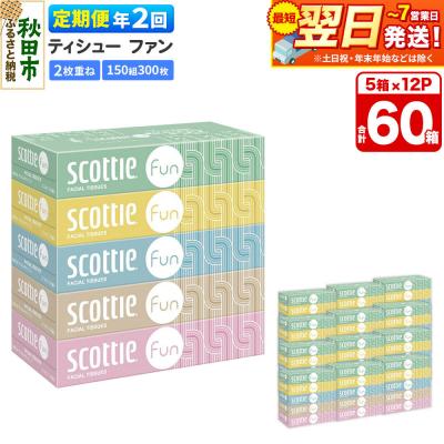 ふるさと納税 秋田市 《2回定期便》スコッティ ティシュー ファン 150組 5箱×12|15_nsc-141202