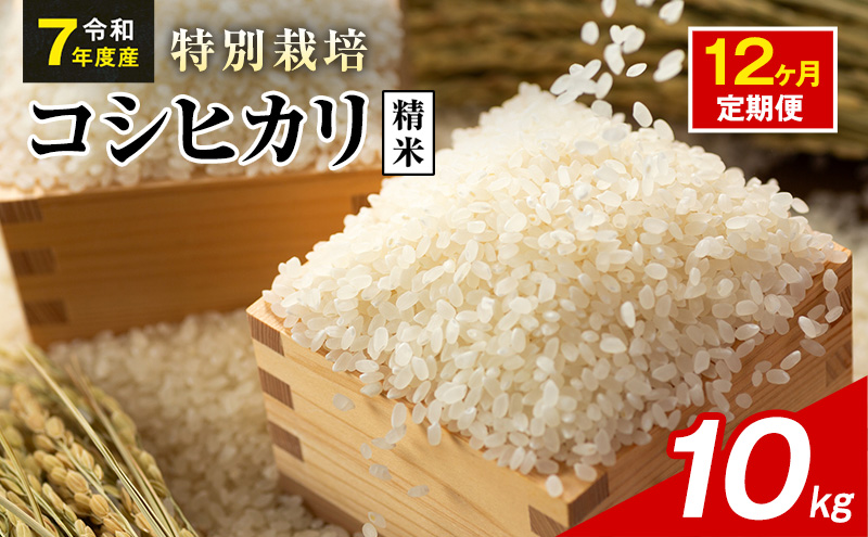 令和7年産 特別栽培米 コシヒカリ 白米 10kg 静岡県産 色彩選別済 食に意識高い方へオススメ 12ヶ月定期便