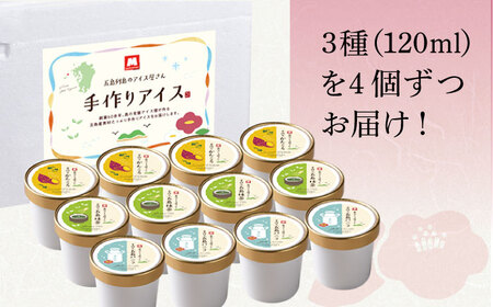 アイス3種 計12個 アイス スイーツ バニラ 抹茶 かんころ 塩 椿油 [RAX001] アイス アイス アイス アイス アイス九州 長崎 スピード発送 最短発送