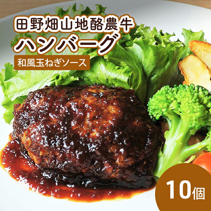 【ふるさと納税】田野畑山地酪農牛ハンバーグ 和風玉ねぎソース 10個入り ハンバーグ 冷凍 小分け 個包装 湯煎 温めるだけ 簡単 牛肉 肉 牛 惣菜 おかず お弁当