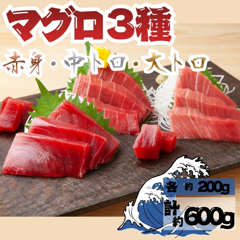 【ふるさと納税】【出荷時期：9月上旬〜】本マグロ 3種 赤身 中トロ 大トロ 各1柵 国産 本鮪 まぐろ マグロ クロマグロ 鮪 刺身 丼ぶり 寿司 海鮮 魚介 贅沢 お取り寄せ 詰め合わせ グルメ 産地直送 送料無料 冷凍 道の駅
