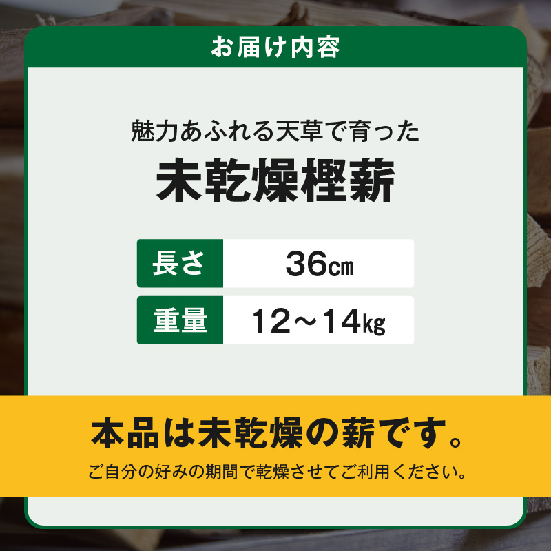 S163-011_魅力あふれる天草で育った未乾燥樫薪（天樫　長さ36cm　12～14kg） 長さ36cm　12～14kg