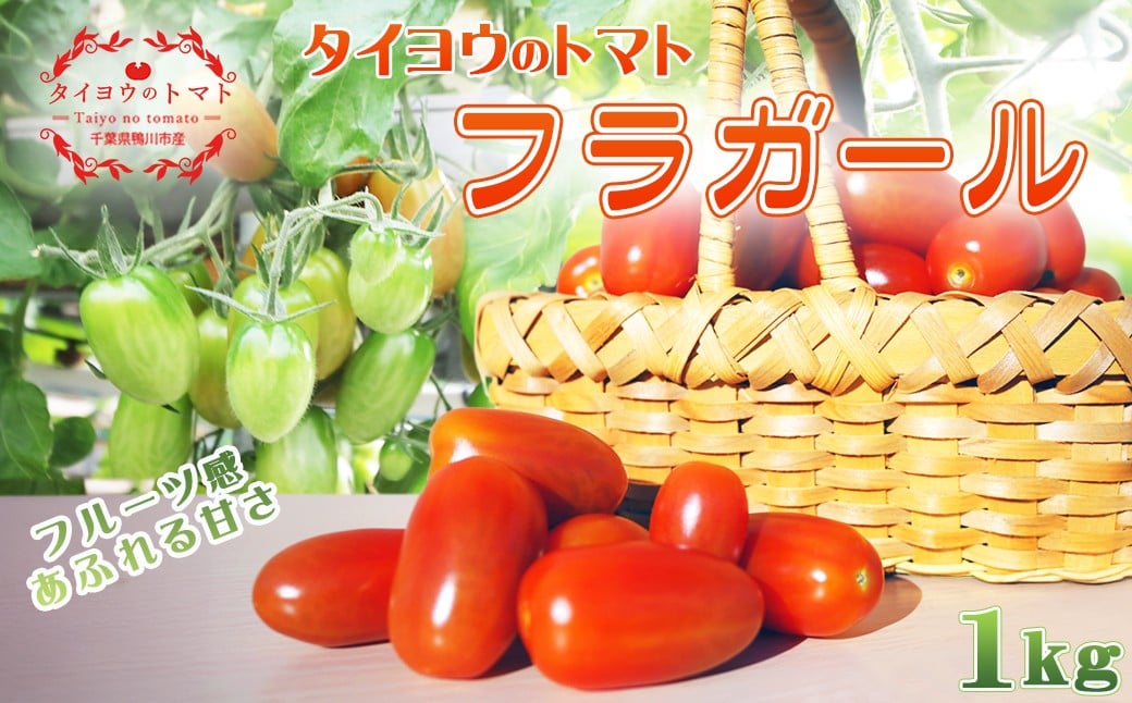 
            【匠の一粒】タイヨウのトマト『フラガール』 １kg　[0008-0048]
          