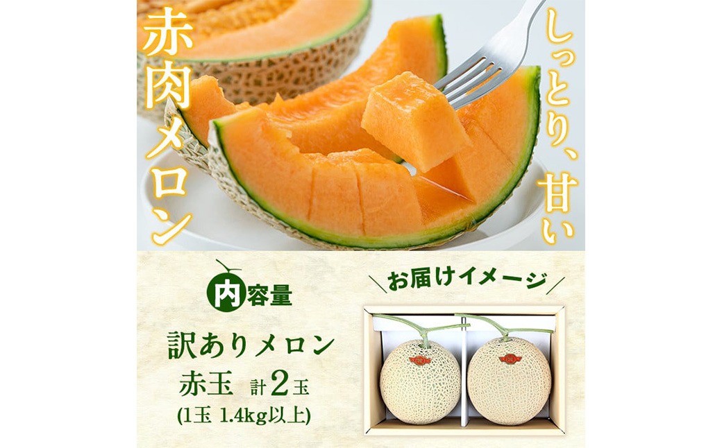 【春限定・数量限定】牧さんの訳ありメロン 赤玉(赤肉)計2玉 b0-105-s