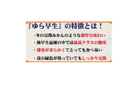 濃厚な味わい ご家庭用 ゆら早生みかん約7kg【10月上旬より発送】希少品種《有機質肥料100％》【nuk002D】