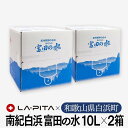 【ふるさと納税】【定期便6回 毎月発送】南紀白浜 富田の水 10リットル×2箱 水 ミネラルウォーター 天然水 軟水