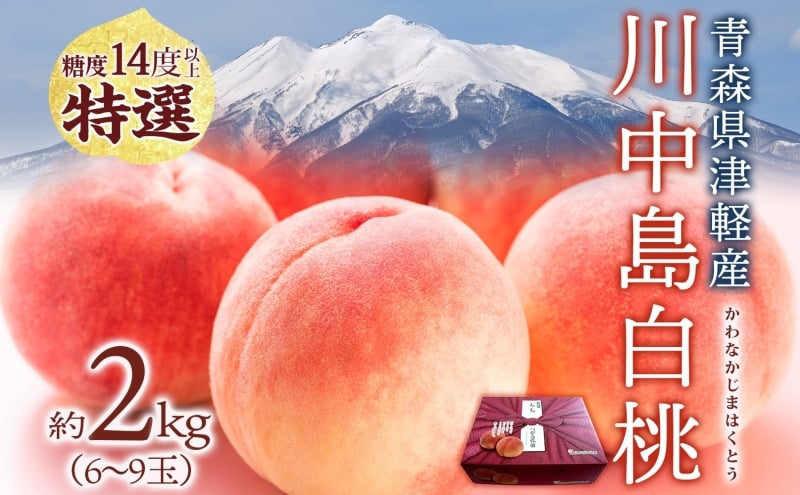 
            桃 川中島白桃 約2kg 6～9玉 特選 8月下旬～9月上旬配送 先行予約 白桃 糖度14度以上 もも 果実 フルーツ デザート 国産 青森県産 甘い 果樹 贅沢 お取り寄せ 産地直送 ギフト 贈答 青森県 西目屋村
          