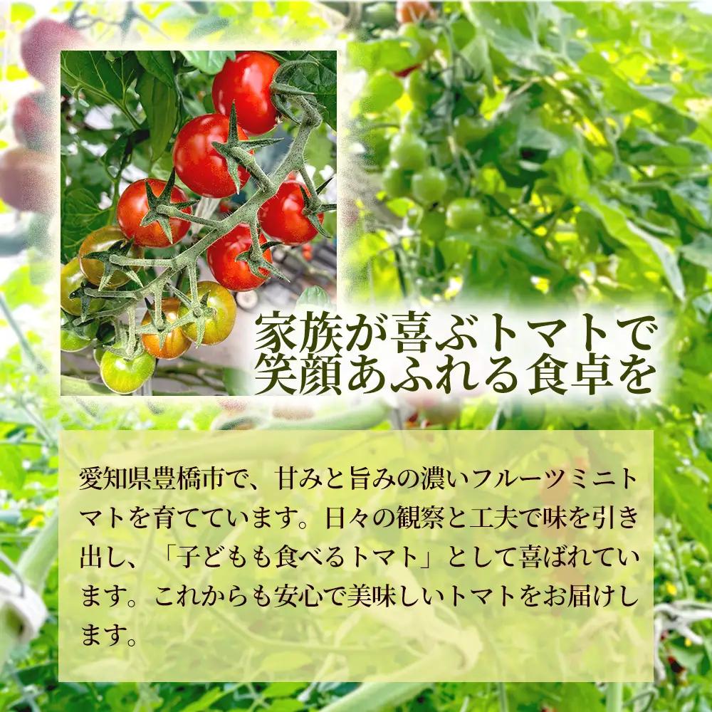 《先行予約》【定期便2ヶ月】（むすび）フルーツミニトマト（TTM180）1kg 定期便 甘い野菜 デザート感覚 おやつ スイーツ感覚 サラダ用 そのまま食べる 旬 家庭用 贈り物 すっきり爽やかな甘み