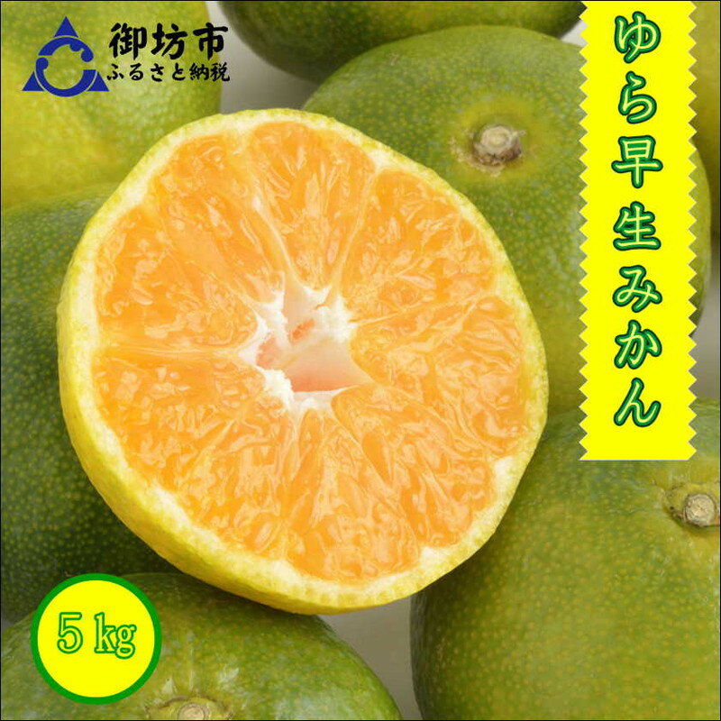 【ふるさと納税】御坊市・日高川町・由良町産　ゆら早生みかん（ゆらっ子）5kg《先行予約》