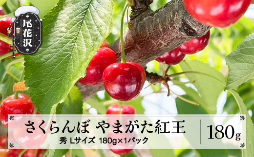 
                  先行予約 さくらんぼ やまがた紅王 180g Lサイズ 秀品 山形県産 令和8年産 2026年産 sb-ybslx180
                