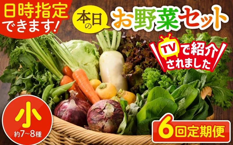
            【6回定期便】日時指定OK！本日のお野菜セット 〈小サイズ/約7-8種〉 野菜詰め合わせ 有機栽培 野菜 定期便 果物 野菜セット 野菜定期便 6回 6ヵ月 野菜定期  産地直送
          