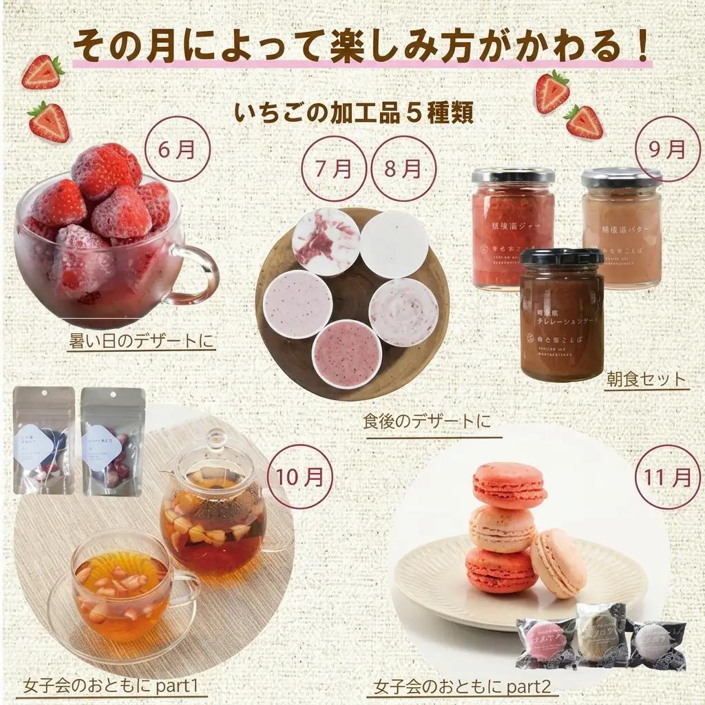 定期便 12回【1～12月発送】いちごづくし定期配送 苺 いちご 冷凍いちご いちごアイス シャーベット ジャム