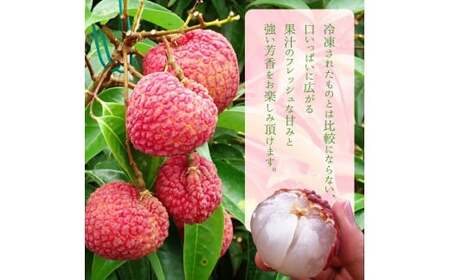 ＜宮崎県産 生ライチ 1kg＞2025年7月上旬～7月下旬迄に順次出荷【c071_mk_x5】