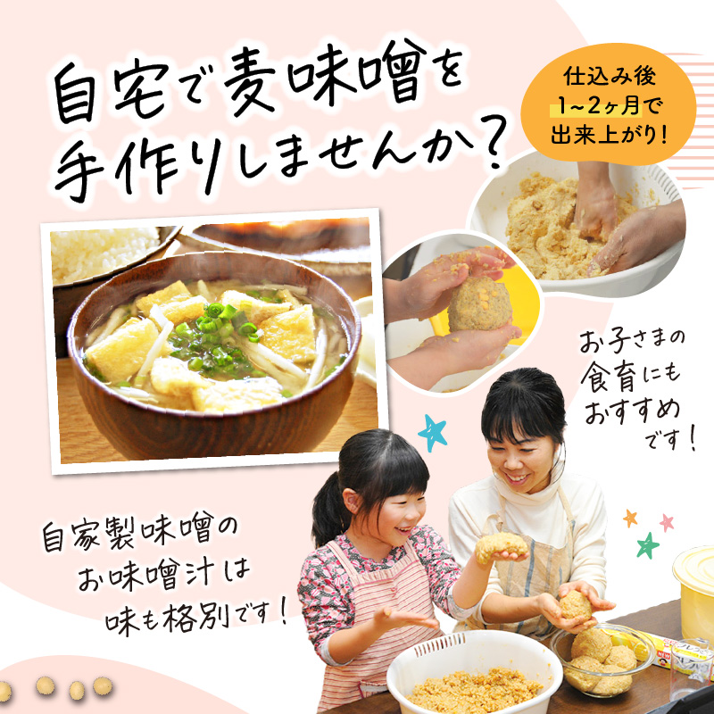 「かねよ みそ しょうゆ」麦味噌手作りキット　K058-004
